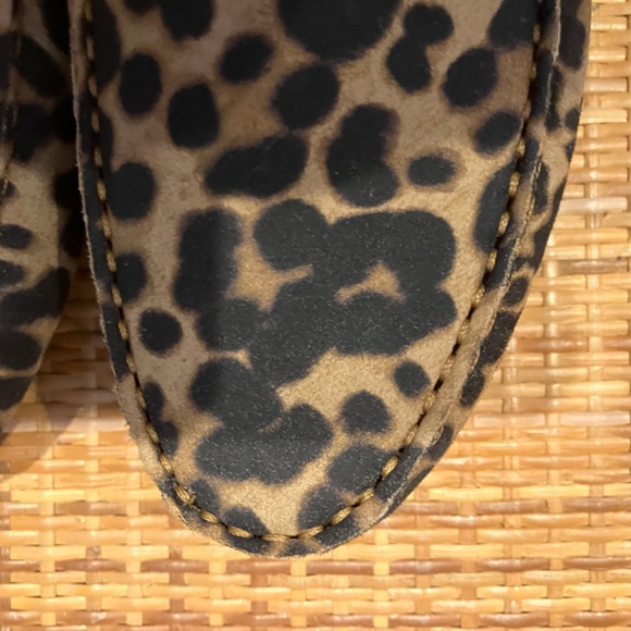 M.Gemi The Felize Mule Leopard Print Suede Size 37 New in Box SOLD OUT - Picture 3 of 6